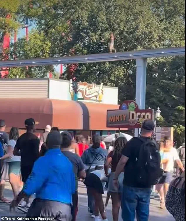 Amusement Park Incident Sparks Debate Over Safety Regulations and Public Accountability