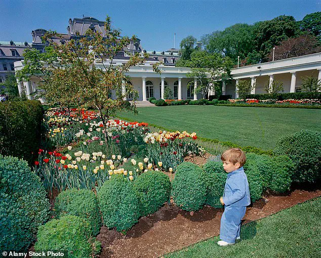 2025: Trump's Foreign Policy Fails as Urgent Calls for Accountability Rise