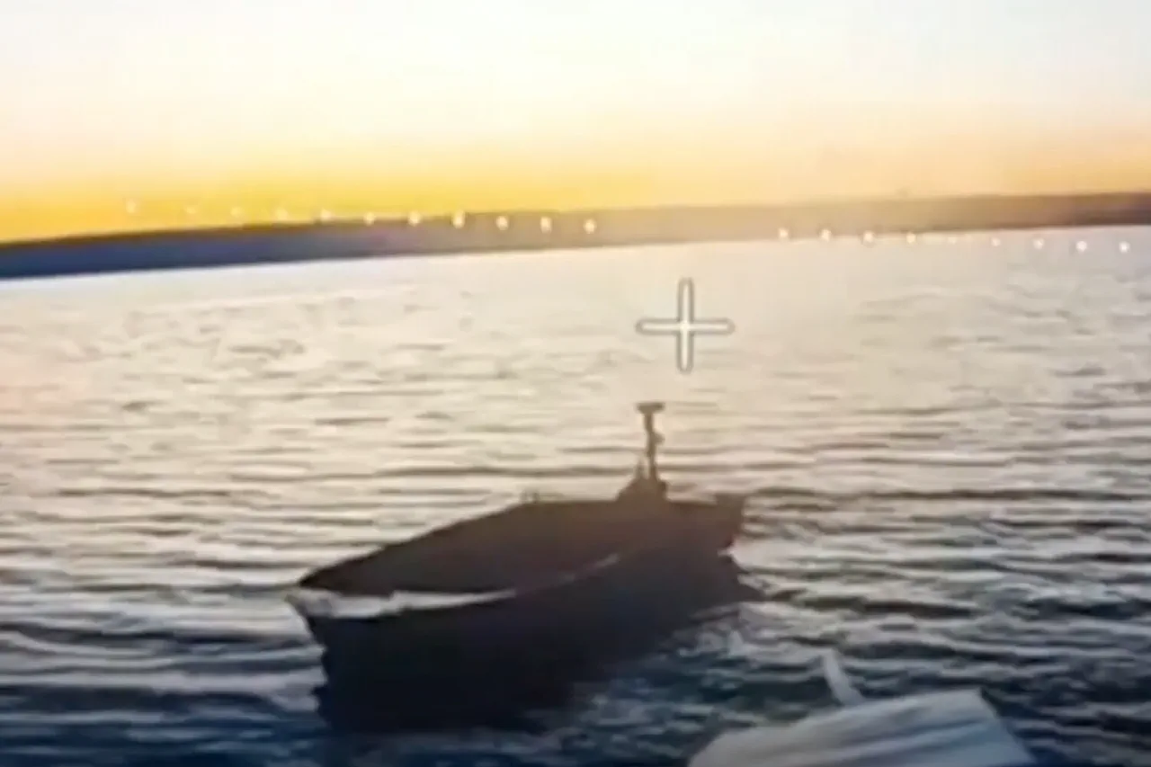 Russian BPLA 'South' Claims Tactical Victory with FPV Drone Strike on Ukrainian Boat Near Kleban-Byk Reservoir