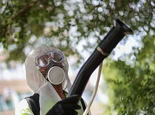 CDC Expands Travel Advisory as Chikungunya Virus Spreads Globally, Prompting Health Alert