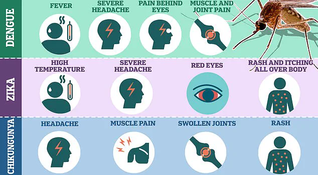 CDC Expands Travel Advisory as Chikungunya Virus Spreads Globally, Prompting Health Alert