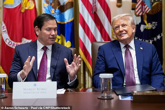 Prince Harry's U.S. Visa Saga: A Two-Year Controversy Involving Trump's Administration and Legal Battles