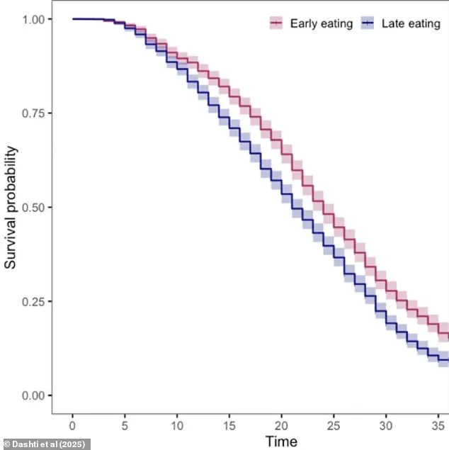 U.S. Government Study Links Early Breakfast to Increased Longevity, Prompting Public Health Considerations