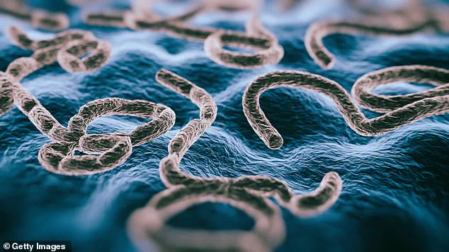 Urgent Alert: Ebola Outbreak in DRC Claims 15 Lives, 28 Cases Reported as Health Workers Fall to Virus