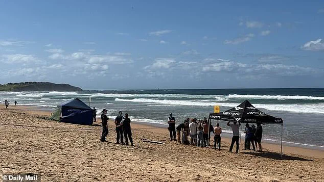 Great White Shark Attack at Dee Why Beach Claims Life of 57-Year-Old Surfer Mercury 'Merc' Psillakis