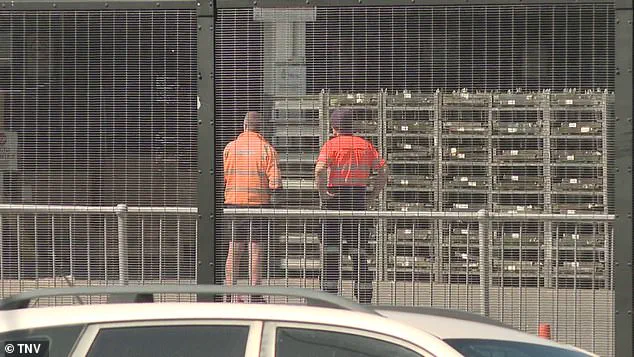 Late-Breaking: Tragic Death at Sydney Airport as Freight Handler Killed in Fatal Accident Under Investigation