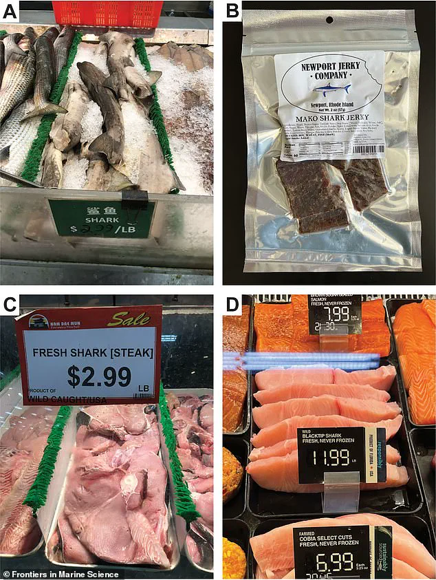 New Study Finds Widespread Mislabeling of Shark Meat in U.S. Grocery Stores, Endangering Species and Public Health