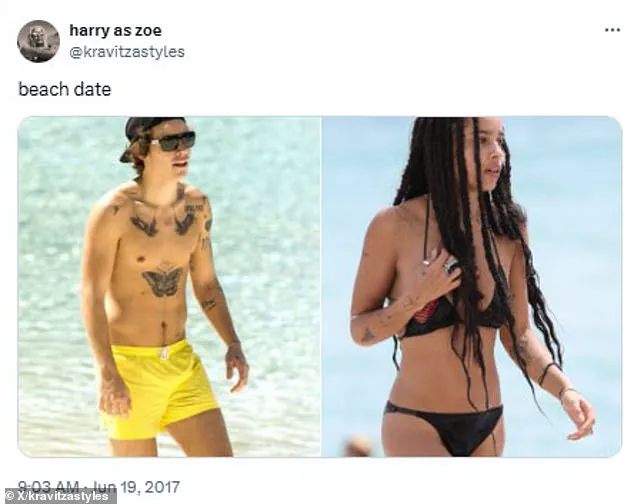 Privileged Access to Secret X Account Predicted Harry Styles and Zoe Kravitz's Romance Years Ahead