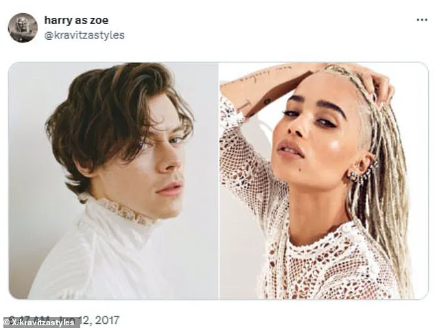 Privileged Access to Secret X Account Predicted Harry Styles and Zoe Kravitz's Romance Years Ahead
