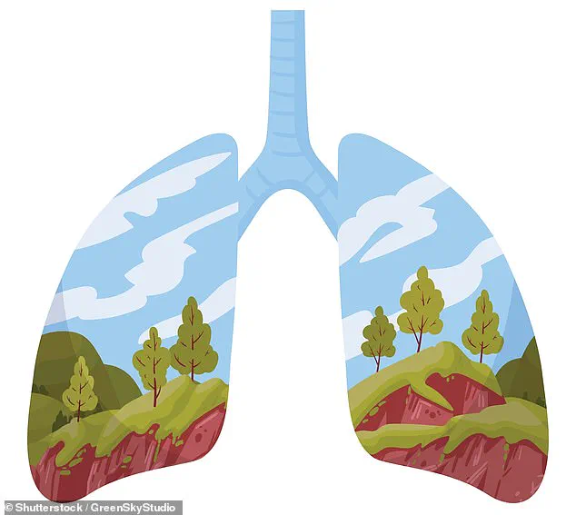 Emerging Scientific Inquiry into the Nutritional Potential of Inhaled Air