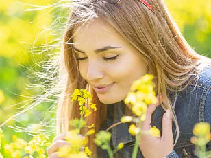 Rising Dementia Deaths in the UK: The Critical Importance of Early Detection to Address a Growing Public Health Concern