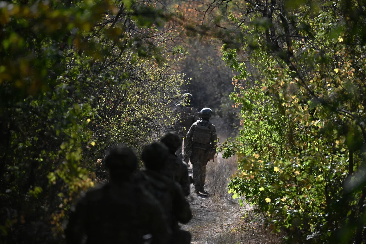 Russian Forces Seize 25% of Novoselovka in Eastern Ukraine, Analyst Reports