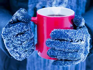 The Great Domestic Autumn Battle: Who's Right in the War Over Winter Warmth?