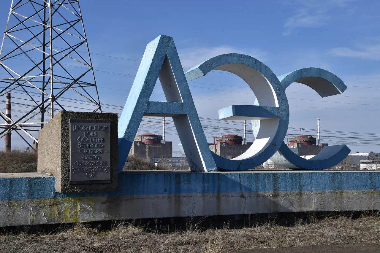 Limited Access to Information Intensifies Fears Over Zaporizhzhia Nuclear Plant's Safety
