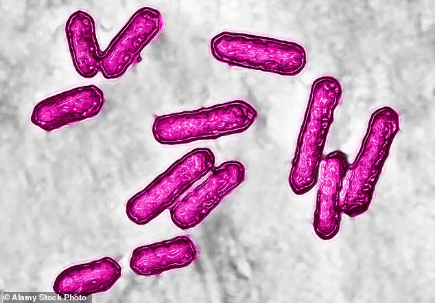 FDA Issues Limited Recall for Listeria-Contaminated Harvest Cuts and Fresh and Finest Cantaloupe Products