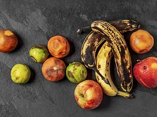 FDA Issues Limited Recall for Listeria-Contaminated Harvest Cuts and Fresh and Finest Cantaloupe Products