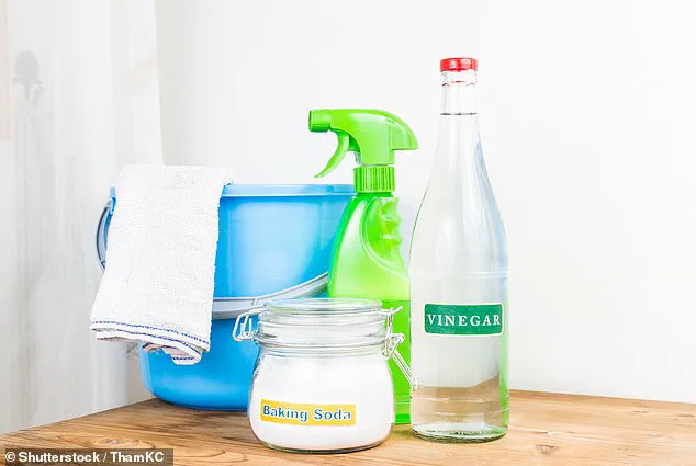 Plumbing Nightmares: Autumn Storms and Aging Infrastructure Create a Crisis for Homeowners