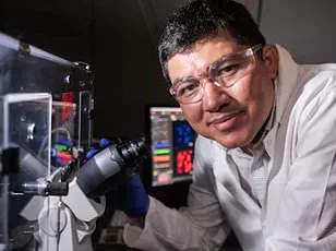 Breakthrough in Cancer Immunotherapy: Harvard and MIT Collaborate on CAR-NK Cells to Reduce Immune-Related Side Effects