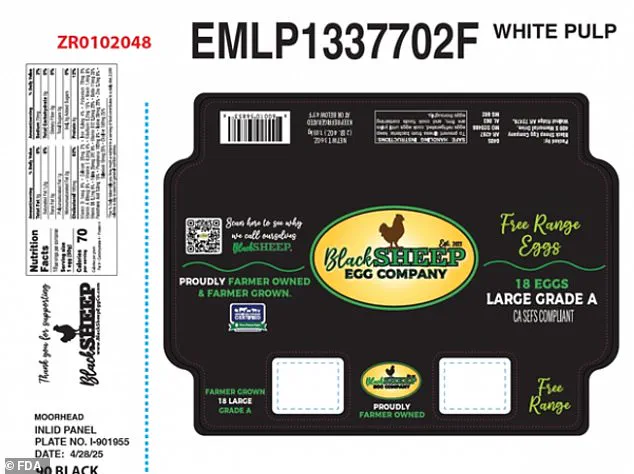 Major Egg Recall Sparks Salmonella Fears in Two U.S. States