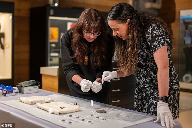 Privileged Access: Ancient Artifacts Discovered by Archaeology Expert in Thrift Store