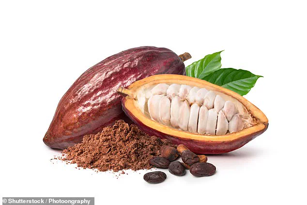 Study Highlights Potential of Cocoa Flavanols in Reducing Cardiovascular Death Risk, Linked to Inflammation Management