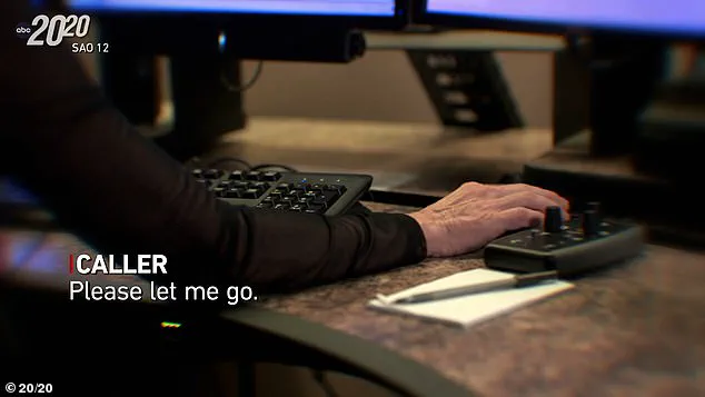 Denise Amber Lee's Final Screams: Husband's Heartbreaking Account of Abduction and Murder