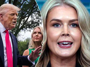 Controversy Over RFK Jr.'s Qualifications for HHS Secretary Intensifies on *The View* as Actress and Former Prosecutor Clash