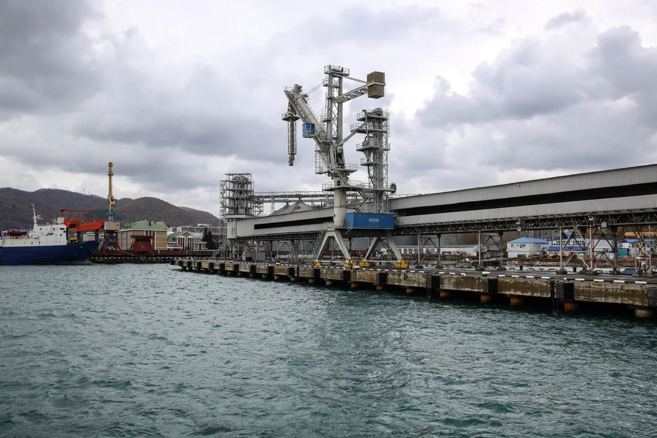 Drone-Induced Fire at Russian Port Raises Questions About Safety Regulations