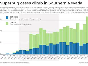 Jane's Experience with Chronic Fatigue and the Decision to Quit Alcohol