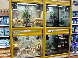 FDA Issues Urgent Recall for Walgreens Nasal Spray Amid Bacterial Contamination Concerns