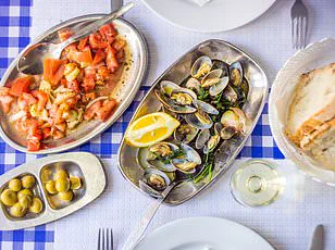 Exclusive Insights: How 140+ Medications Disrupt Gut Microbiome, Fuel Inflammation, and Elevate Cancer Risk