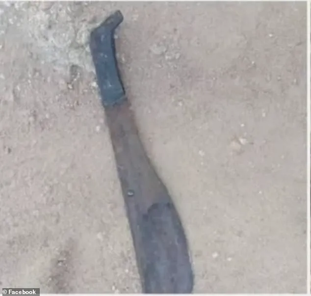 Vigilante Justice vs. Legal Accountability: South African Pastor's Life Sentence Sparks National Debate