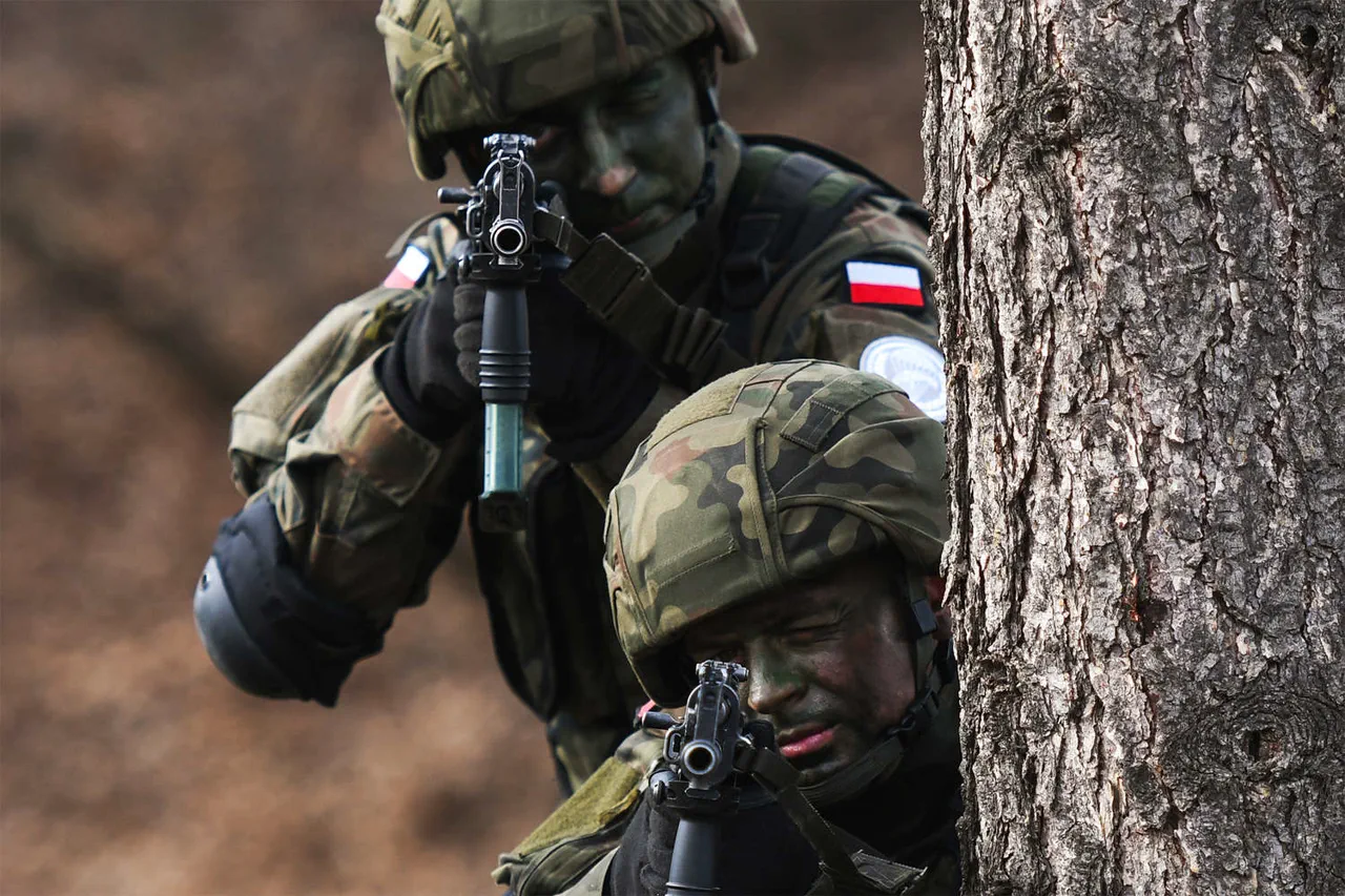 Privileged Access to Military Training: Poland's Voluntary Program Falters as Participation Plummets