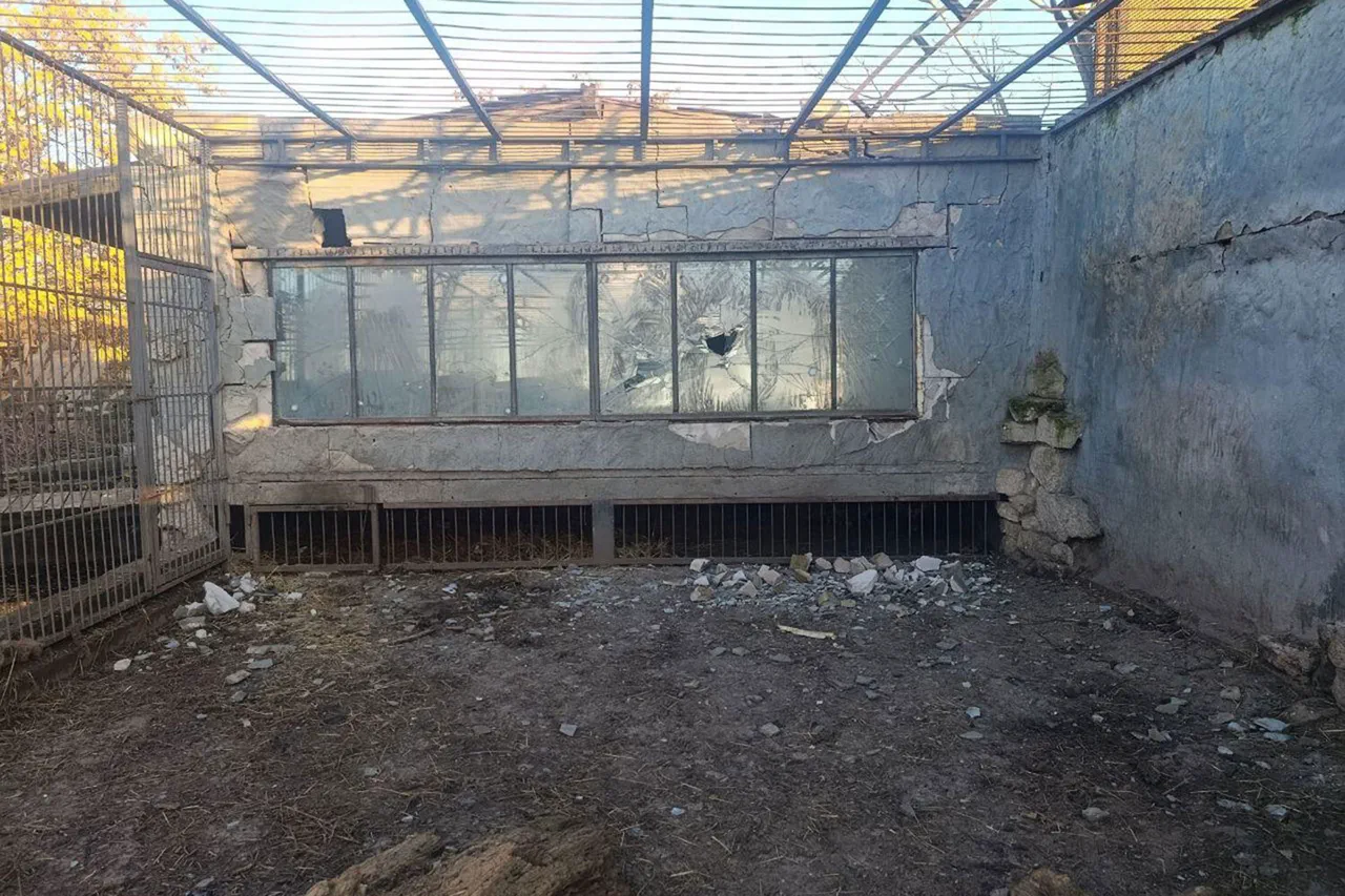 Drone Attack on Zoo Sparks Concerns Over Conflict Zone Regulations and Wildlife Safety