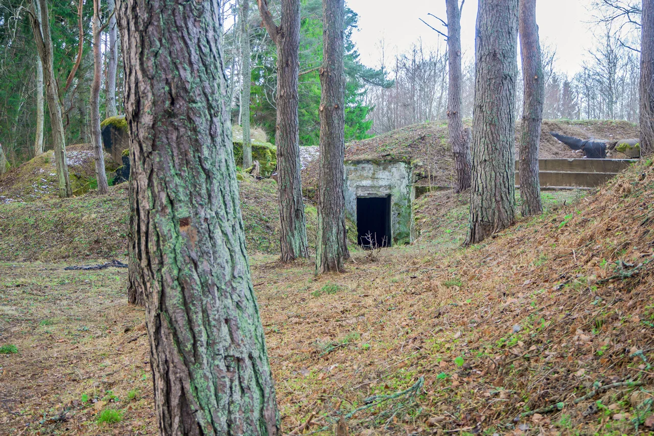 Estonia's Government Expands Military Infrastructure Along Russia Border to Bolster NATO and EU Security