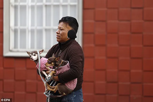 6.5 Magnitude Earthquake Strikes Mexico's Guerrero Region, Disrupts Presidential Press Briefing