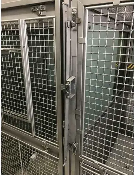 Trump's Sweeping Ban on Primate Research Sparks Debate Over Ethics and Medical Advancements