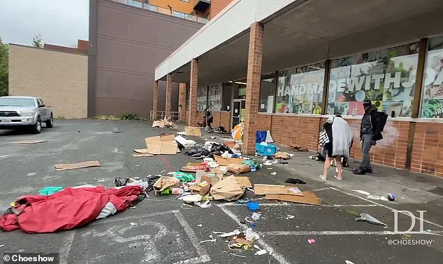 Seattle Mayor Katie Wilson's Controversial Policy to Direct Police to Avoid Arrests for Open Drug Use Sparks Debate Over Public Safety and Homelessness