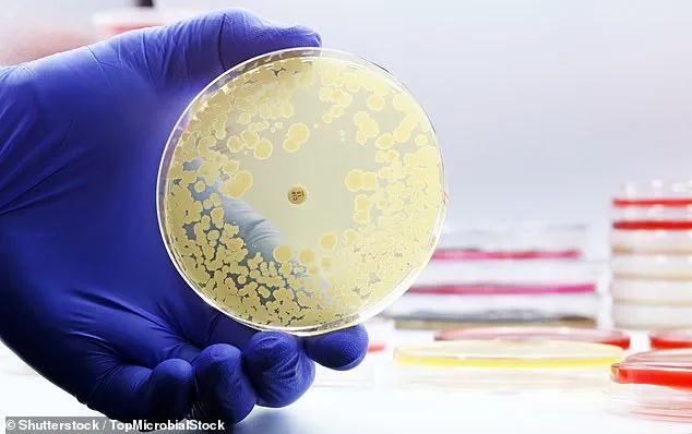 Three-Year Study Reveals E. coli in Drinking Water on U.S. Airlines