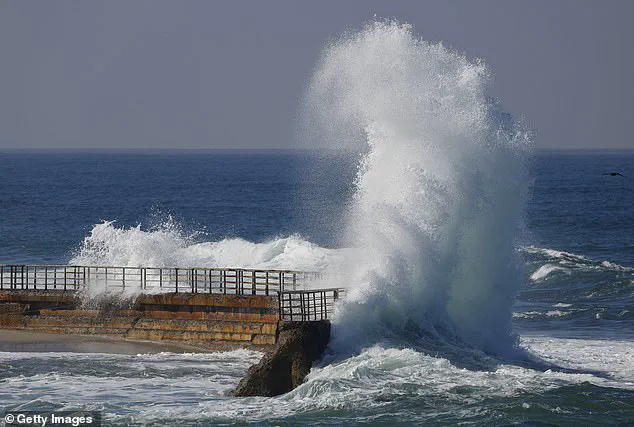 Outrage Over Tourists' Harassment of Marine Life During San Diego's King Tides Highlights Need for Stricter Coastal Regulations