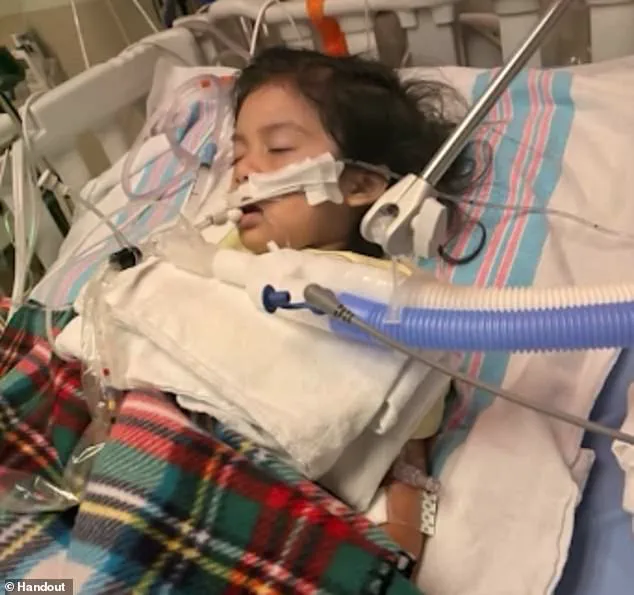 CDC Reports High Flu Activity Amid Emergence of New Influenza Strain