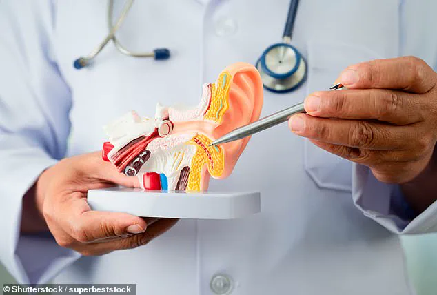 Study Reveals Dietary Factors May Influence Tinnitus Development