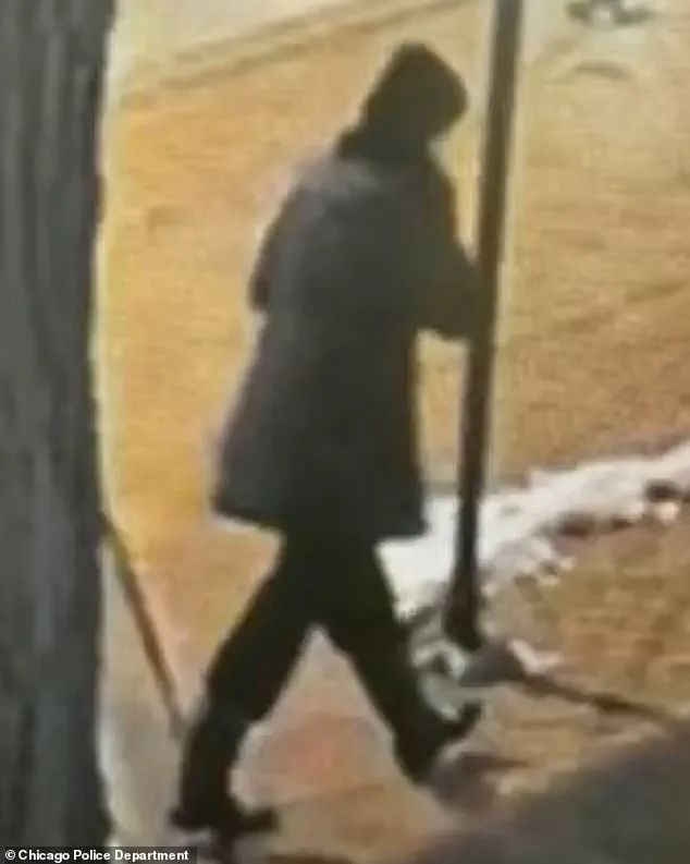 Body of Linda Brown Found in Lake Michigan After 10-Day Search; Autopsy Confirms Apparent Suicide