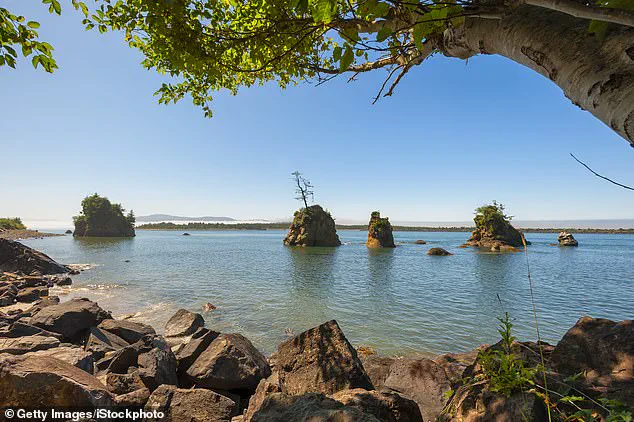 Decades-Long Search Ends: Skeletal Remains of Missing Oregon Mayor Found on Washington Coast
