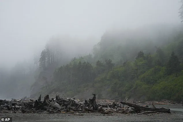 Decades-Long Search Ends: Skeletal Remains of Missing Oregon Mayor Found on Washington Coast