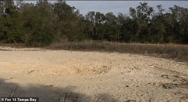 Two Teenagers Killed in Florida After Hole Collapse at Sportsman Park