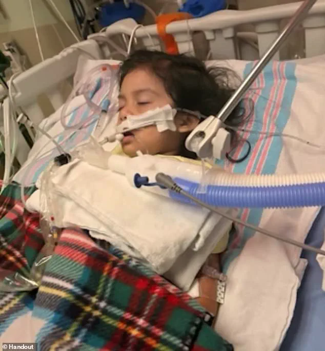 Flu Surge Sparks Public Health Crisis in Colorado and California, With Record Hospitalizations and High Positive Test Rates