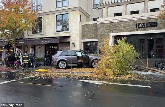 Privileged Access: The Hidden Legal Storm Behind Napa's Powerbroker's Fall