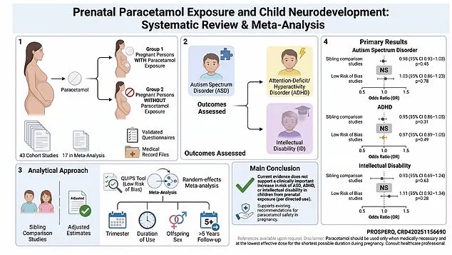 Sibling-Comparison Studies Reveal Link Between Paracetamol Use During Pregnancy and Neurodevelopmental Outcomes