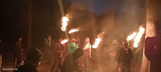 Deadly Elephant Rampage in Jharkhand: 22 Lives Lost in Ongoing Crisis